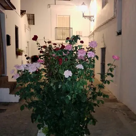 Casa Amaro